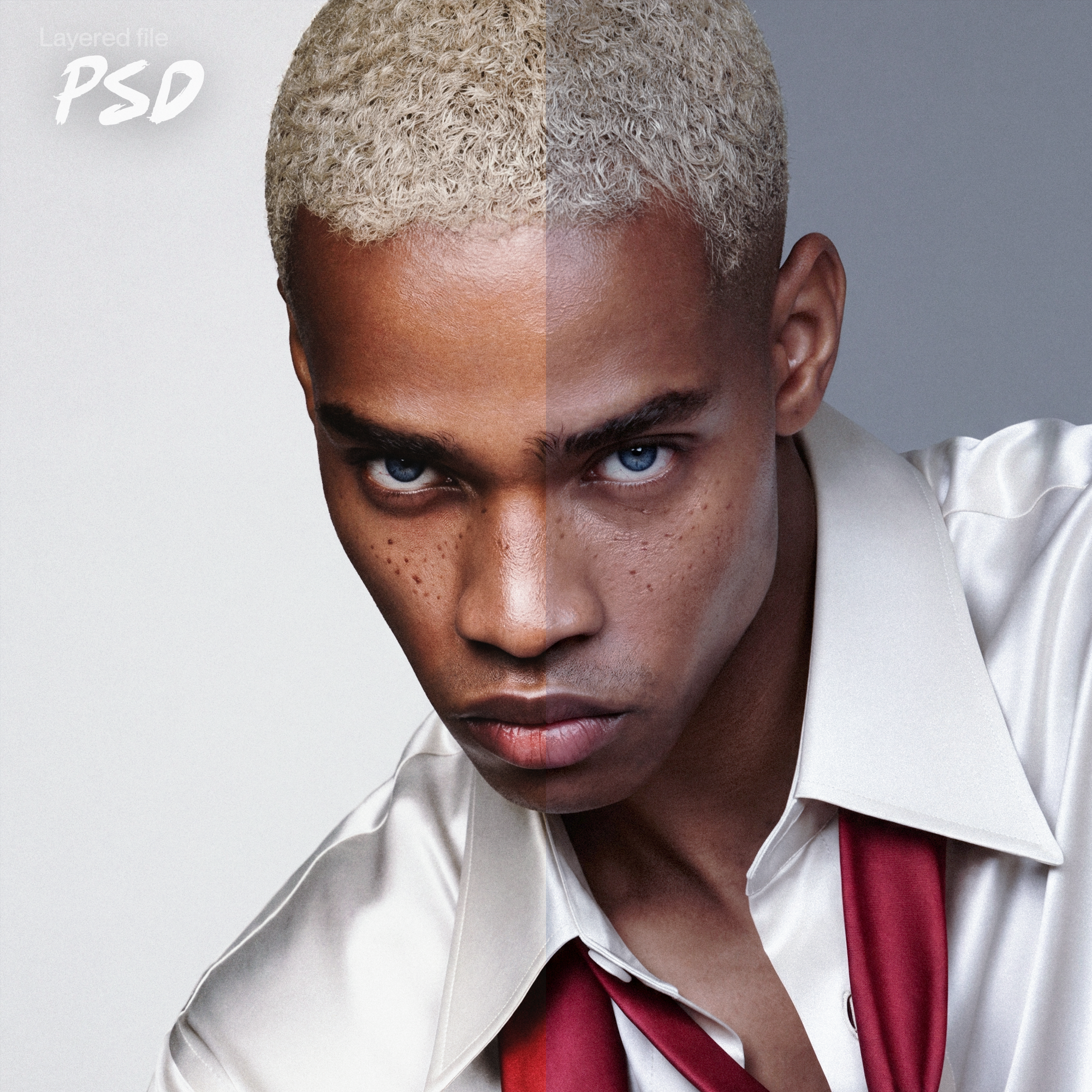 Fragrance Campaign — Layered PSD File - Image 4